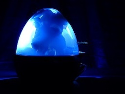 Laika (ewig schwerelos)